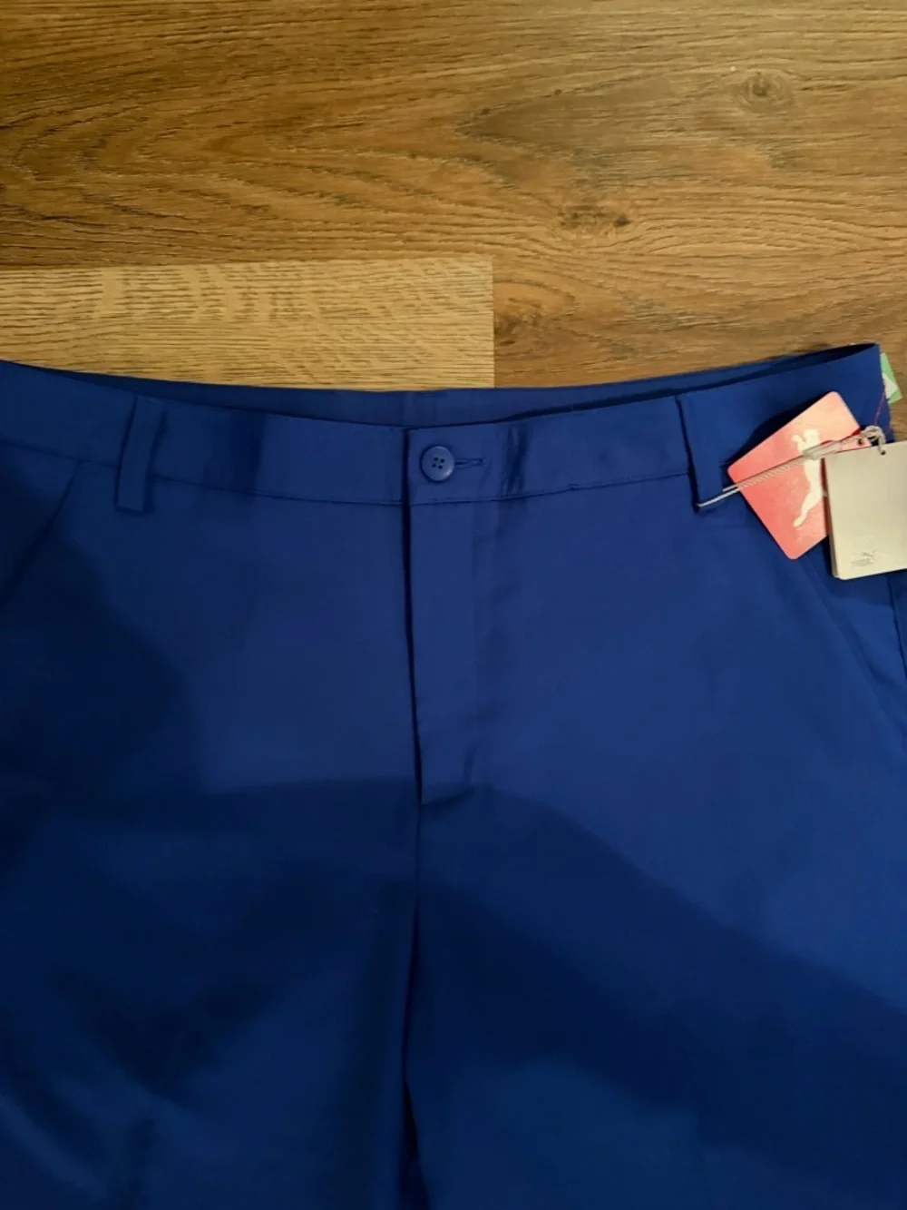 Puma Men's Royal Blue Flat-Front Performance Shorts
